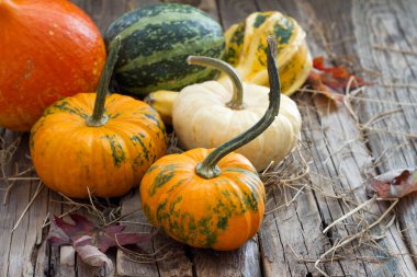 Eski tahtalarda sonbahar balkabakları 