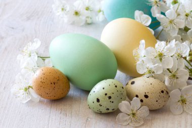 Paskalya kompozisyonu, beyaz ahşap arka planda yumurtalar ve çiçekler
