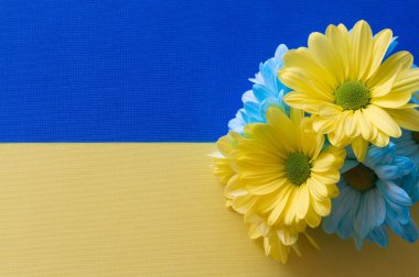 Ukrayna bayrağı ve mavi-sarı çiçekler, fikir konsepti 
