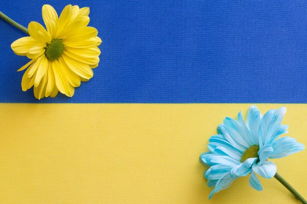 Ukrainska Flagga Och Blå Gula Blommor Idé Koncept — Stockfoto