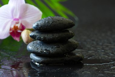 Orkide çiçeği ve siyah zemin üzerindeki çiğ taşları, spa konsepti, vücut ve akıl, zen taşı