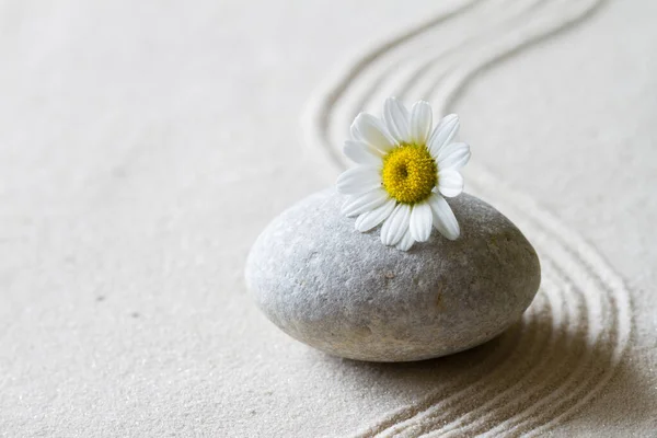 Zen Hintergrund Mit Stein Blume Und Linien Sand Konzept Entspannung — Stockfoto