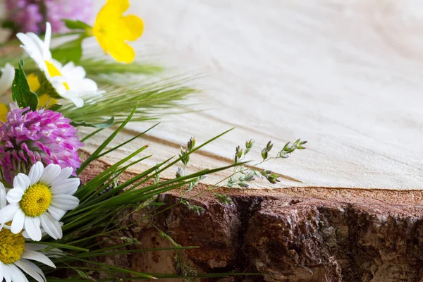 Veld Bloemen Houten Stomp Zomer Achtergrond — Stockfoto