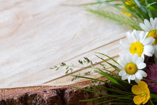 Feldblumen Auf Holzstumpf Sommer Hintergrund — Stockfoto