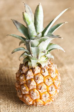 fresh pineapple on burlap background clipart