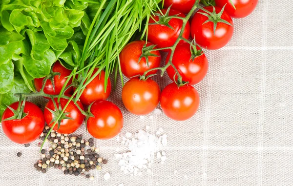 Tomates, cebolinha e especiarias — Fotografia de Stock