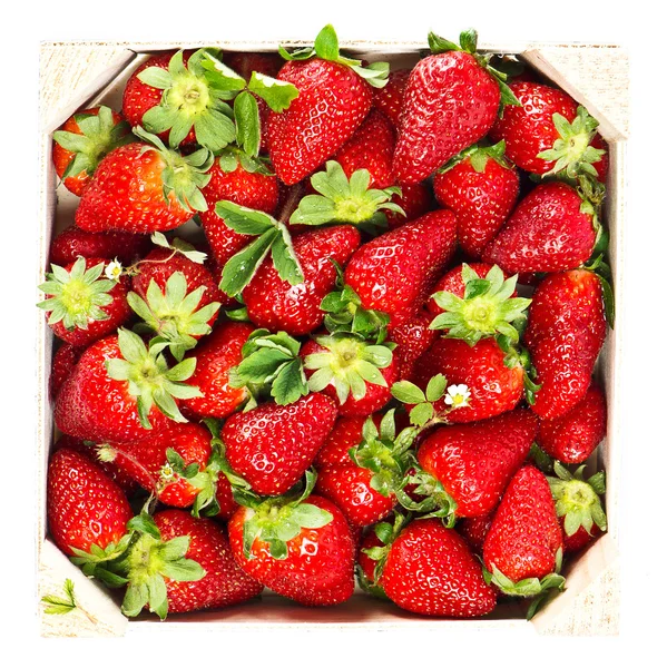 Frische Erdbeeren — Stockfoto