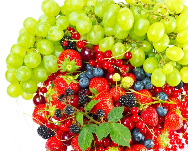 Grüne Traube mit Beeren — Stockfoto