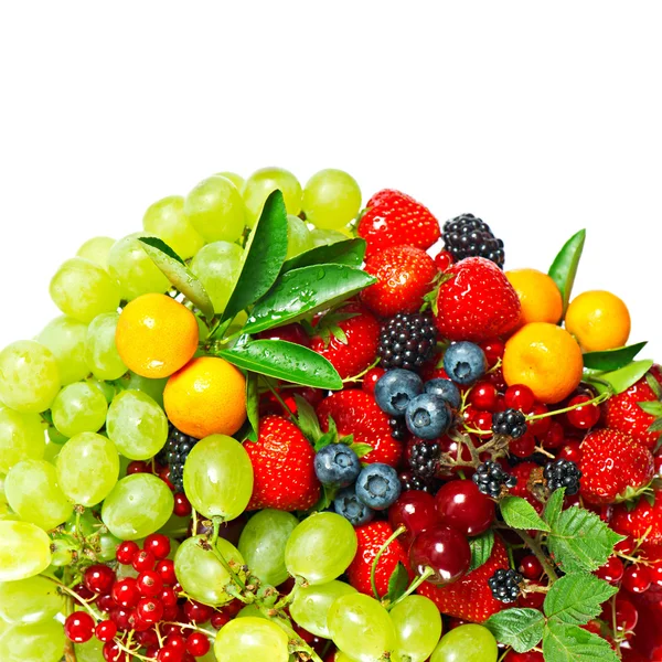 Mix of berries — Stock Photo, Image