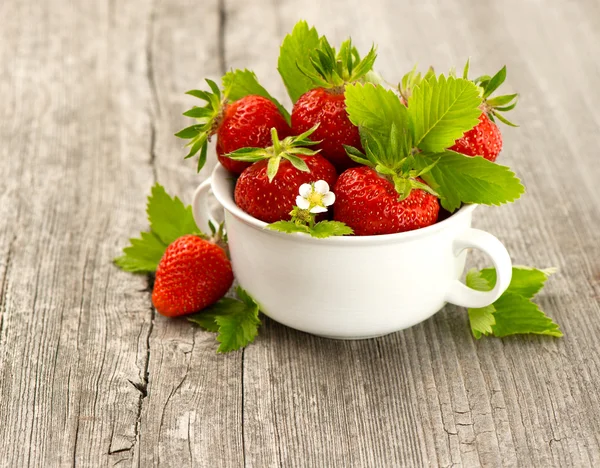 Frische Erdbeeren mit Blättern und Blüten — Stockfoto