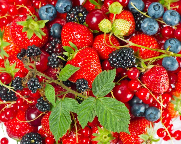 Mischung aus frischen Sommerbeeren — Stockfoto