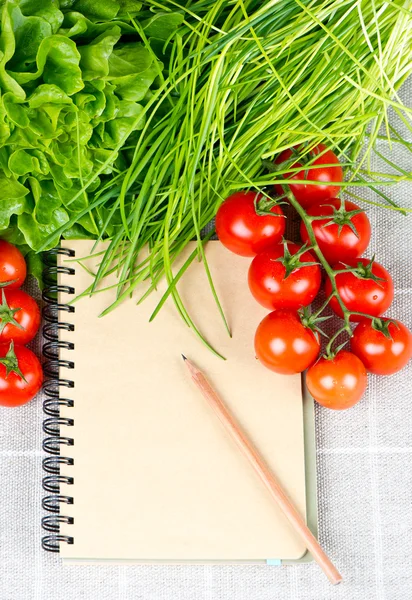 Otwórz książkę starych receptur z pomidorami — Zdjęcie stockowe