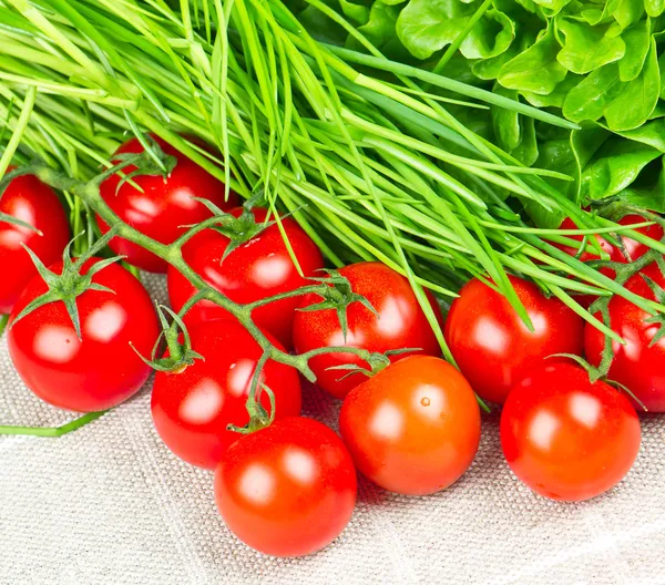 Pomodori, erba cipollina e insalata — Foto Stock