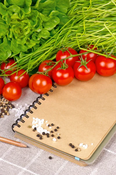 Offenes Notizbuch mit Tomaten, Schnittlauch und Gewürzen — Stockfoto