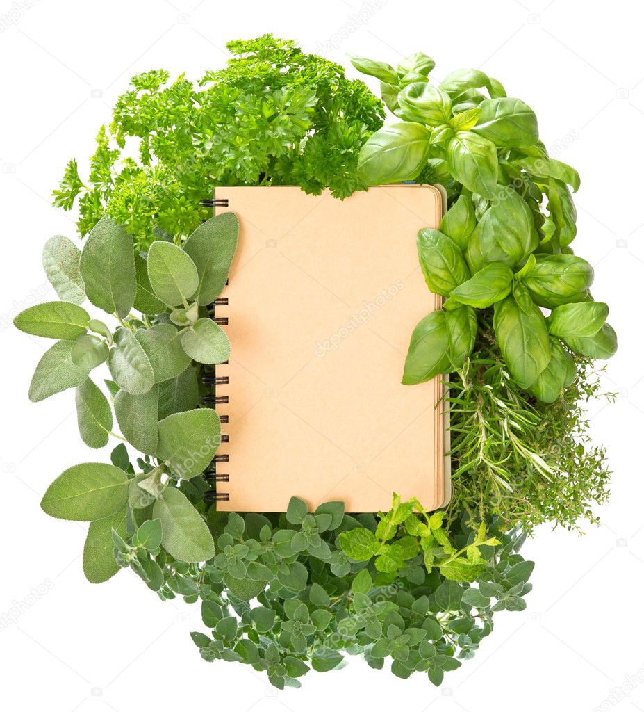 empty recipe book with variety fresh herbs