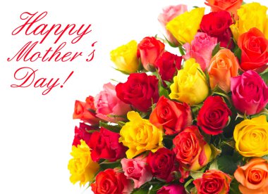 Beyaz arka plan üzerinde renkli çeşitli güller