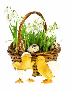 komik tavuk Paskalya kompozisyonu