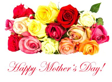 renkli gül, beyaz zemin üzerine güzel bir çiçek buketi