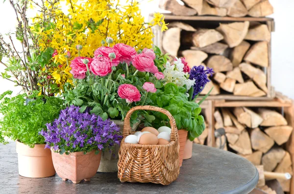 Coloridas flores de primavera y huevos de Pascua decoración —  Fotos de Stock