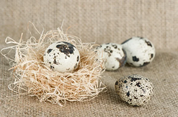 鹌鹑蛋在麻布背景上的巢 — 图库照片