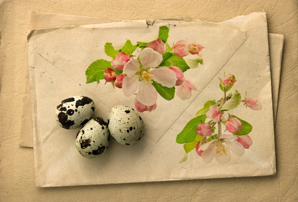 Vintage kağıt arka plan ile elma ağacı çiçeği — Stok fotoğraf