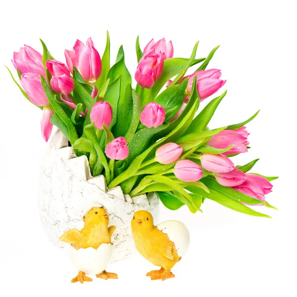 Spring tulip flowers on white background — Stock Photo, Image
