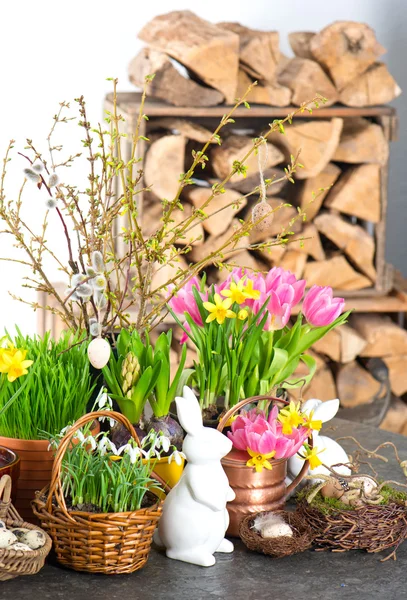 Flores de primavera con conejito de Pascua y decoración de huevos — Foto de Stock