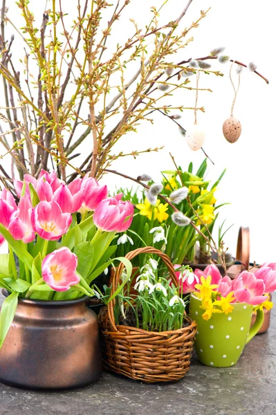 Flowers and fresh tree twigs with easter eggs — Stock Photo, Image