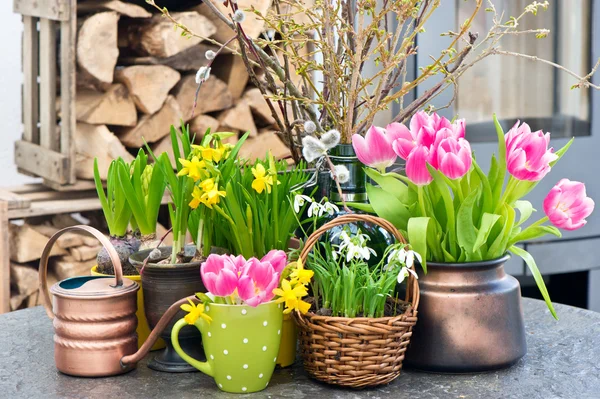 Intérieur avec des fleurs printanières colorées — Photo