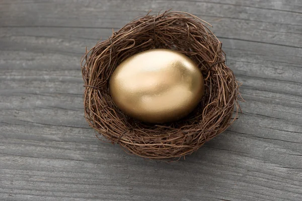 Gouden ei in vogels nestelen op vintage achtergrond — Stockfoto