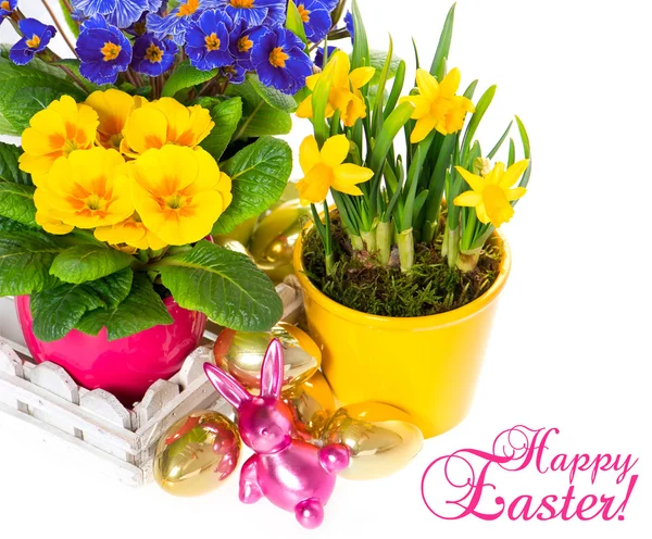 Bahar çiçekleri ile Paskalya dekorasyon — Stok fotoğraf