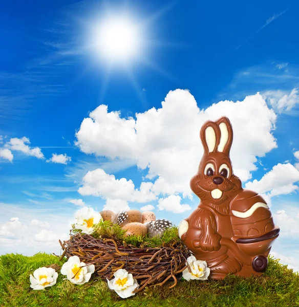 Chocolate easter bunny with flowers on green grass — Stock Photo, Image