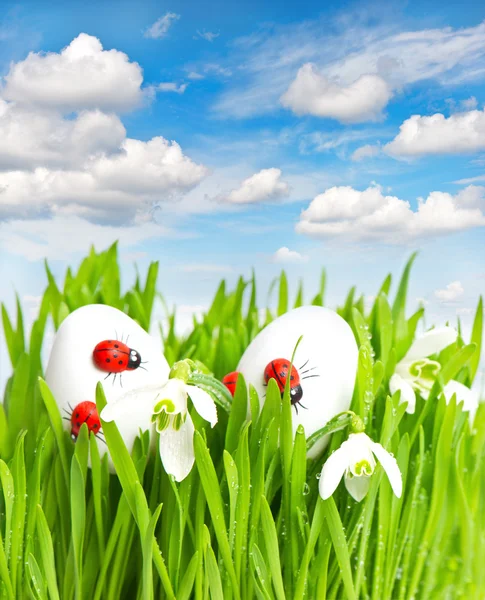 Grönt gräs med påskägg och blå himmel — Stockfoto