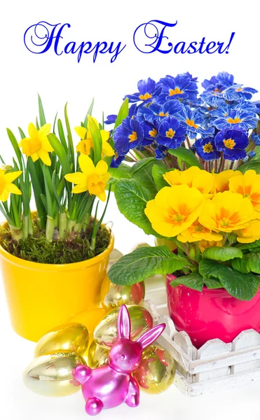 Fiori primaverili con decorazione pasquale — Foto Stock