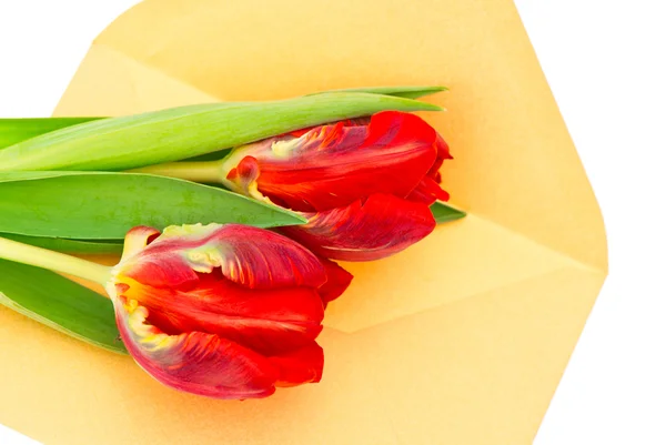 Czerwone tulipany i złoty prezent koperty — Zdjęcie stockowe
