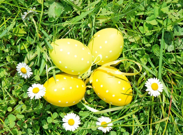 Huevos de Pascua en la hierba con flores de margarita —  Fotos de Stock