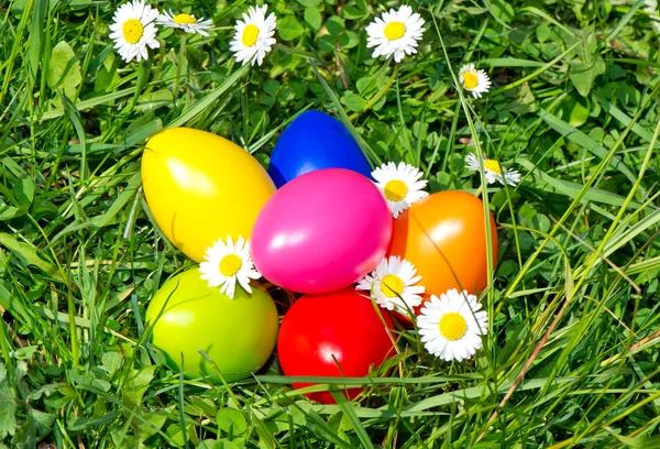 Kleurrijke paaseieren met madeliefjebloemen — Stockfoto