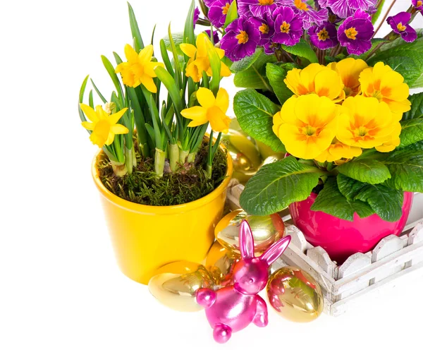 Spring flowers with easter decoration — Stock Photo, Image