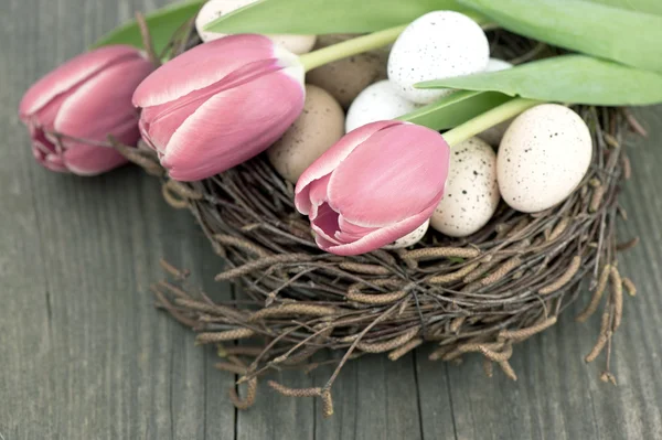 Oiseaux œufs dans le nid avec des fleurs de tulipes sur fond en bois — Photo