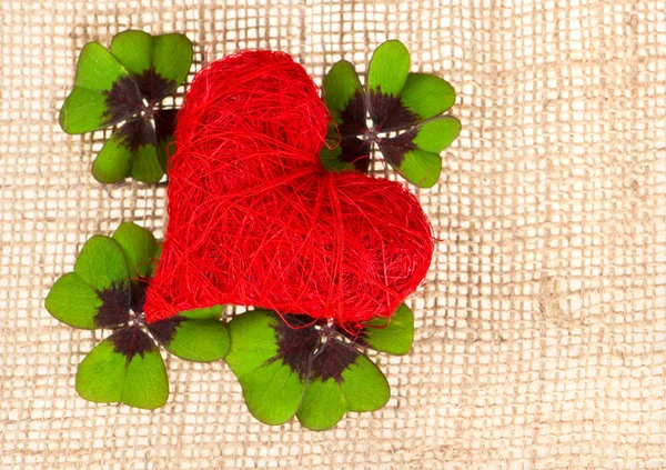 Corazón rojo y hojas frescas de trébol verde — Foto de Stock