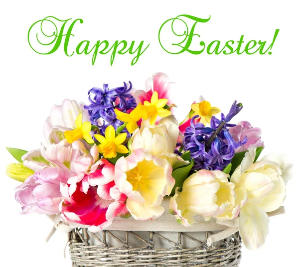 Happy Easter! tulips, narcissus and hyacinth — Stock Photo, Image