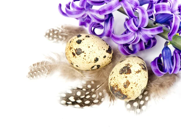 Huevos de Pascua y flores. jacinto. — Foto de Stock