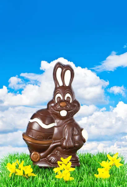 Chocolate easter bunny over blue sky — Stock Photo, Image