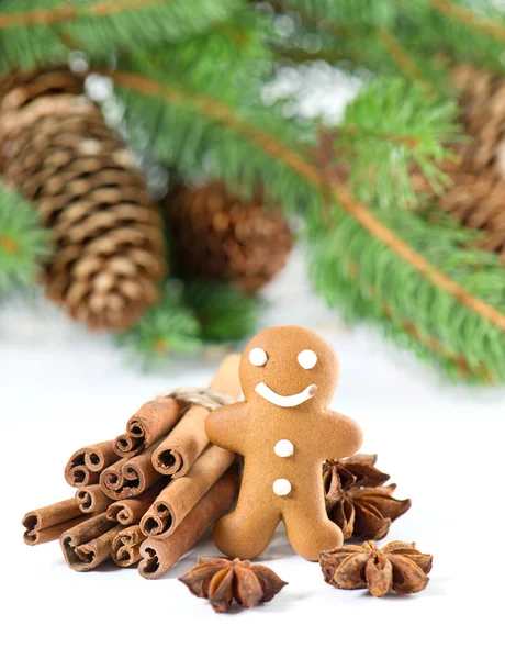 Lachende speculaaspop met Kerstmis kruiden — Stockfoto