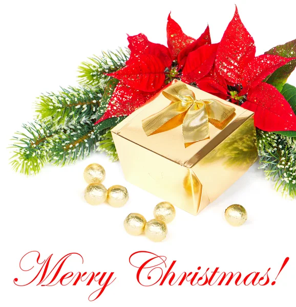 Goldenes Geschenk und roter Weihnachtsstern — Stockfoto