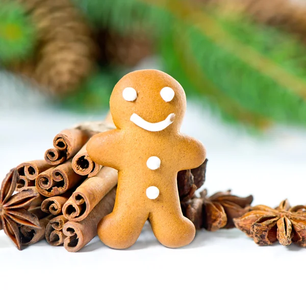 Uomo di pan di zenzero sorridente con spezie natalizie — Foto Stock