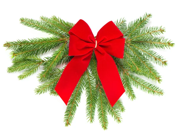 Christmas tree branch with red ribbon — Stock Photo, Image