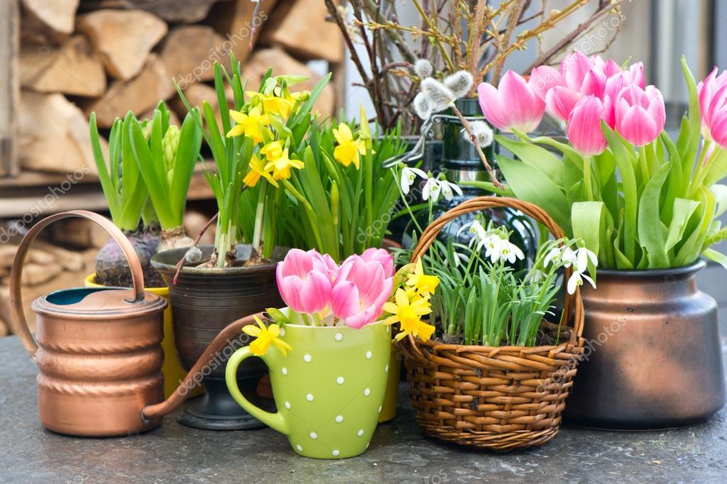 LiliGraphie