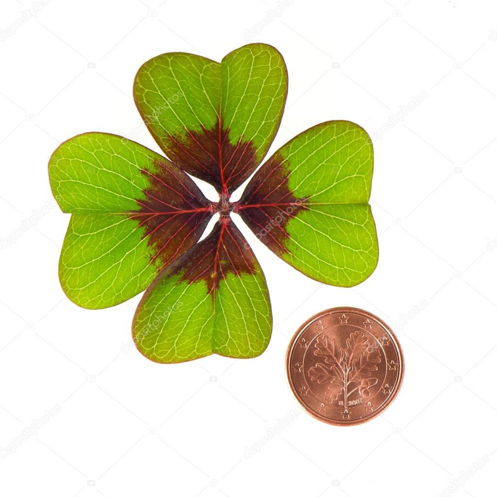 Symbols of luck. coin and shamrock leaf