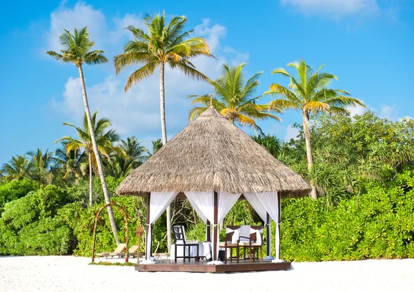Tropiska bröllop plats. vacker blå himmel och palm träd — Stockfoto